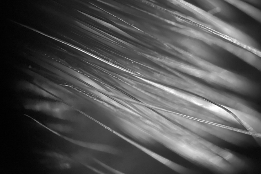 Abstract Background 42 900px x 600px